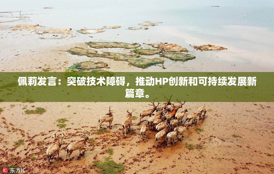 佩莉发言：突破技术障碍，推动HP创新和可持续发展新篇章。