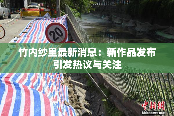 竹内纱里最新消息：新作品发布引发热议与关注