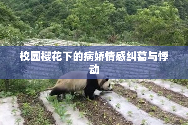 校园樱花下的病娇情感纠葛与悸动