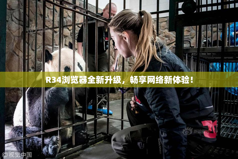 R34浏览器全新升级，畅享网络新体验！