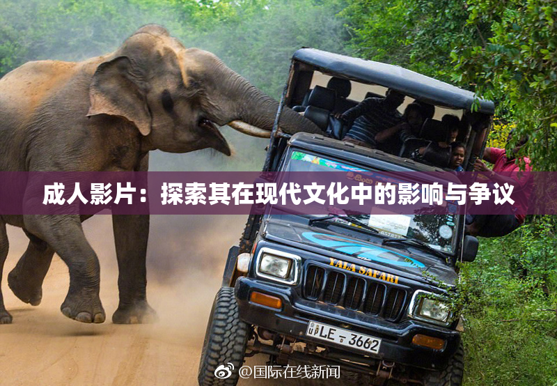 成人影片：探索其在现代文化中的影响与争议