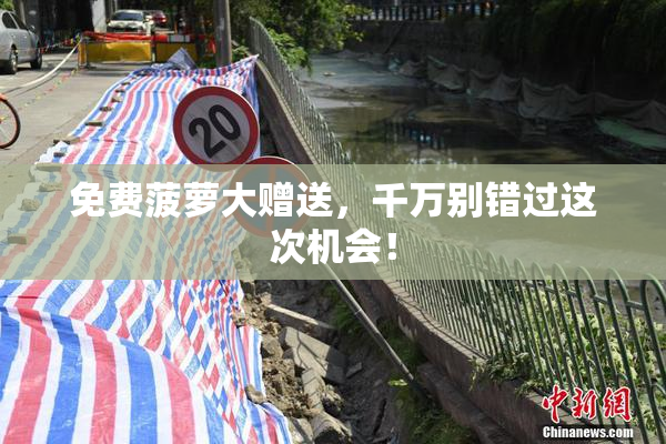 免费菠萝大赠送，千万别错过这次机会！