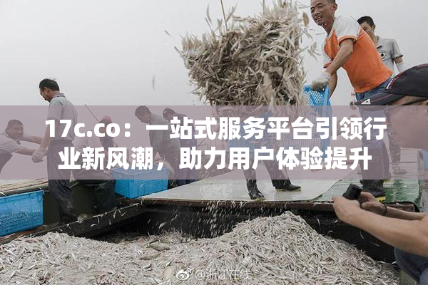 17c.co：一站式服务平台引领行业新风潮，助力用户体验提升