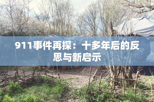 911事件再探：十多年后的反思与新启示