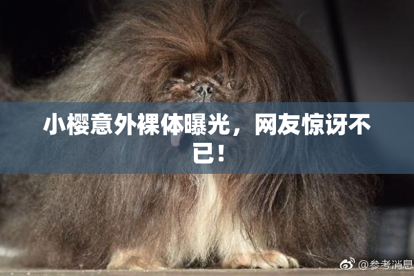 小樱意外裸体曝光，网友惊讶不已！