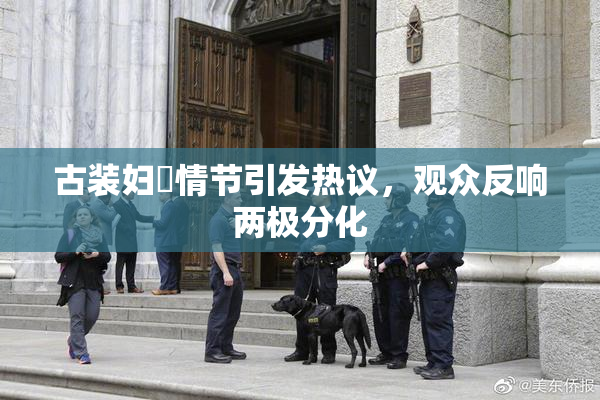 古装妇婬情节引发热议，观众反响两极分化