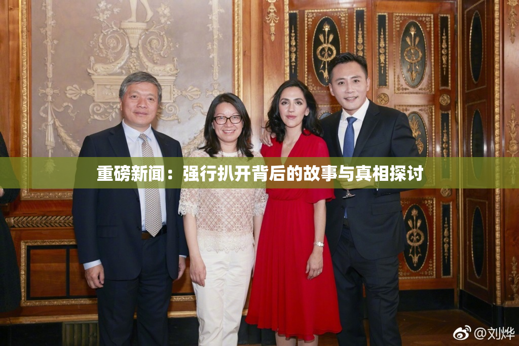 重磅新闻：强行扒开背后的故事与真相探讨