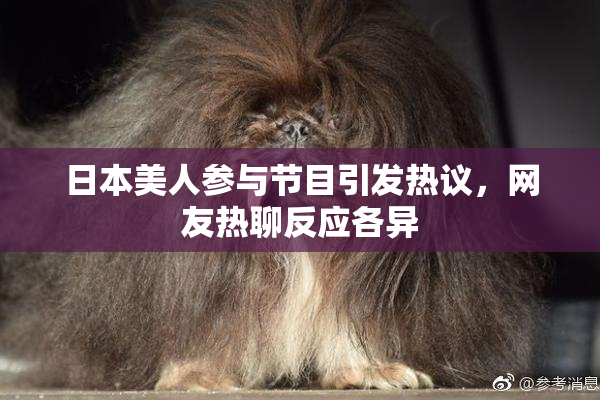 日本美人参与节目引发热议，网友热聊反应各异