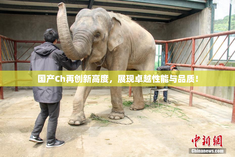 国产Ch再创新高度，展现卓越性能与品质！