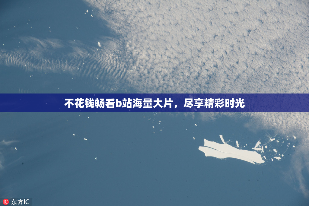 不花钱畅看b站海量大片，尽享精彩时光