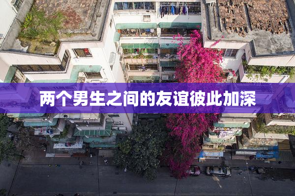 两个男生之间的友谊彼此加深