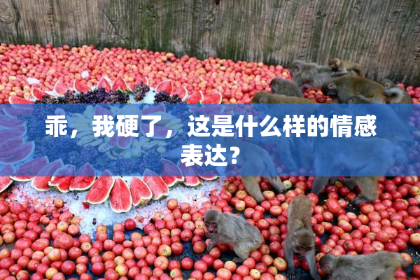 乖，我硬了，这是什么样的情感表达？
