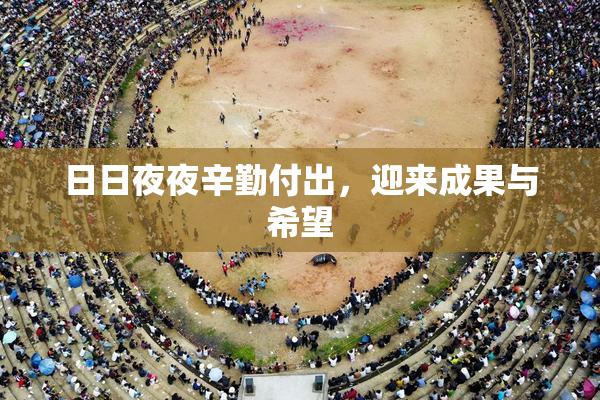 日日夜夜辛勤付出，迎来成果与希望