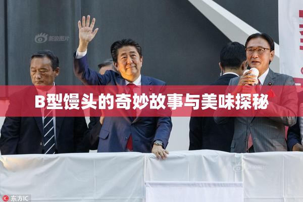 B型馒头的奇妙故事与美味探秘