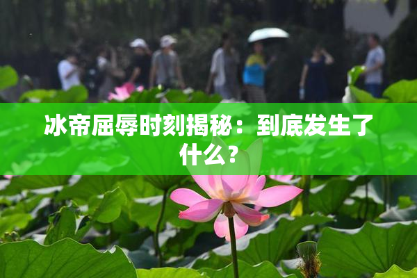 冰帝屈辱时刻揭秘：到底发生了什么？