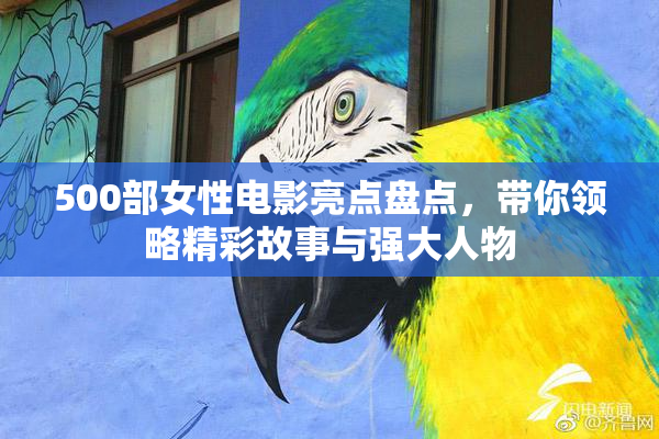 500部女性电影亮点盘点，带你领略精彩故事与强大人物