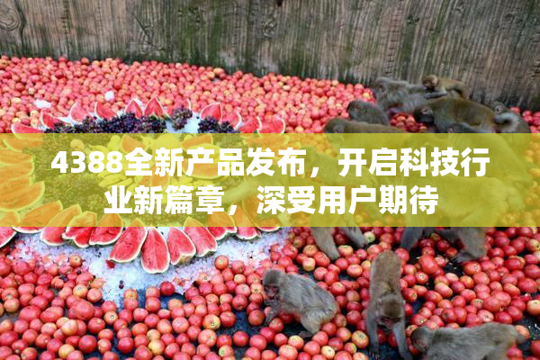 4388全新产品发布，开启科技行业新篇章，深受用户期待