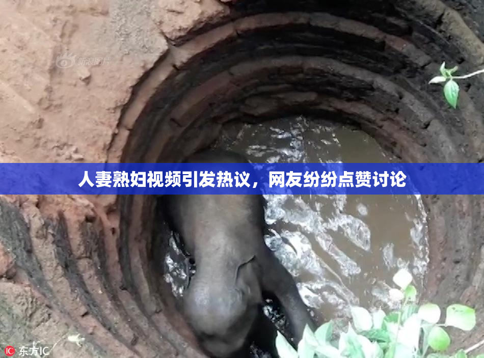 人妻熟妇视频引发热议，网友纷纷点赞讨论