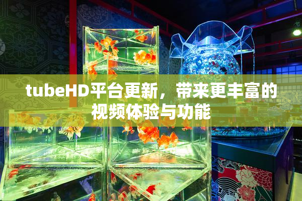 tubeHD平台更新，带来更丰富的视频体验与功能