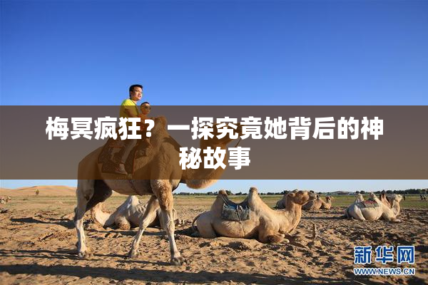 梅冥疯狂？一探究竟她背后的神秘故事