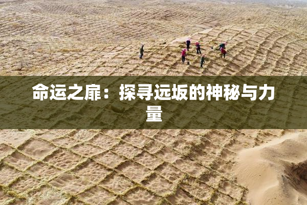命运之扉：探寻远坂的神秘与力量