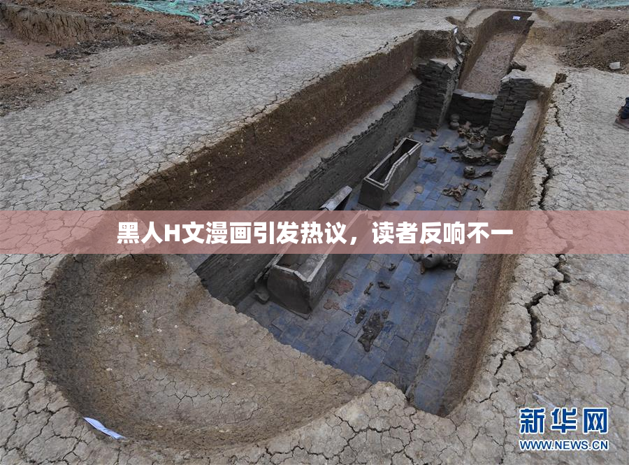 黑人H文漫画引发热议，读者反响不一