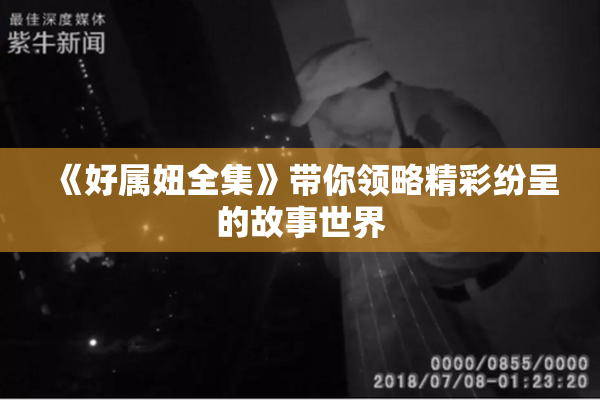 《好属妞全集》带你领略精彩纷呈的故事世界