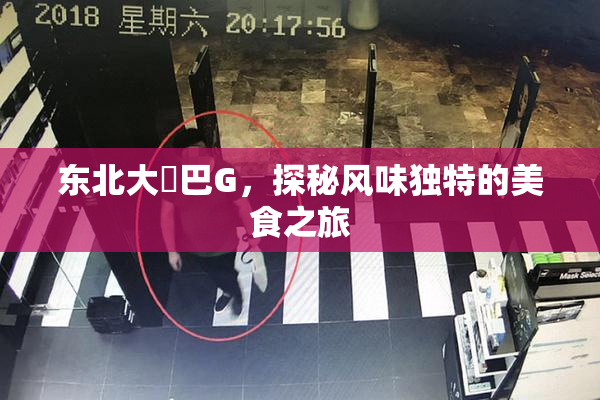 东北大鷄巴G，探秘风味独特的美食之旅