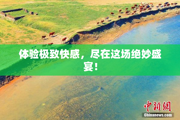 体验极致快感，尽在这场绝妙盛宴！