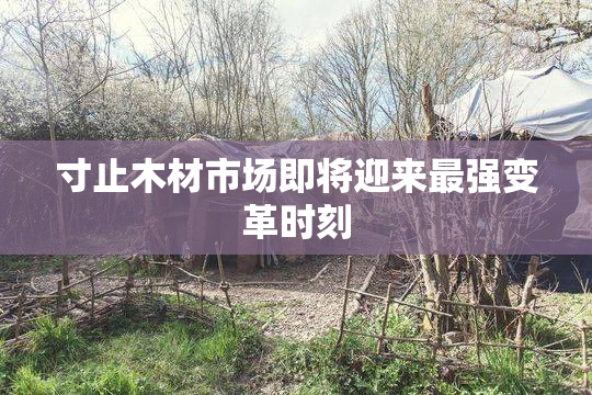 寸止木材市场即将迎来最强变革时刻