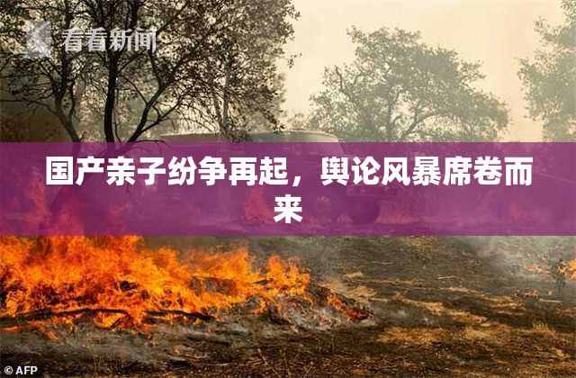 国产亲子纷争再起，舆论风暴席卷而来