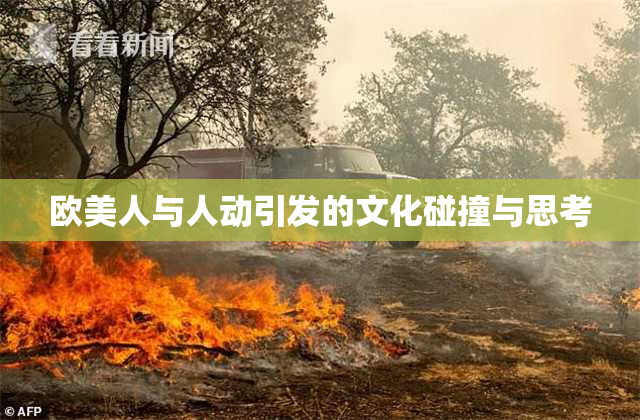 欧美人与人动引发的文化碰撞与思考