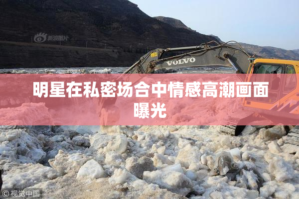 明星在私密场合中情感高潮画面曝光