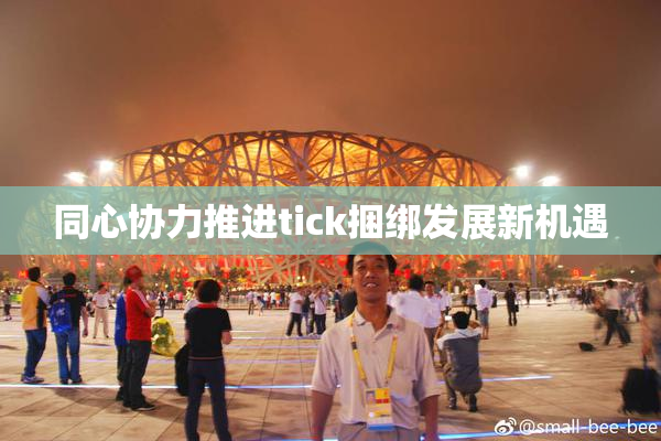 同心协力推进tick捆绑发展新机遇