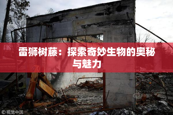 雷狮树藤：探索奇妙生物的奥秘与魅力
