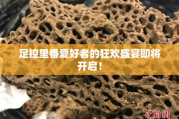 足控里番爱好者的狂欢盛宴即将开启！