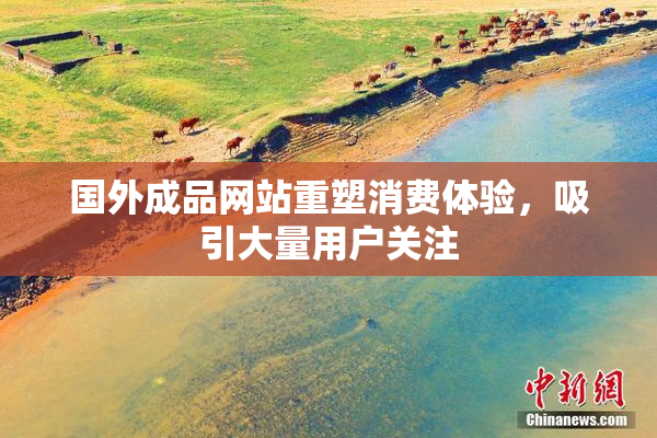 国外成品网站重塑消费体验，吸引大量用户关注
