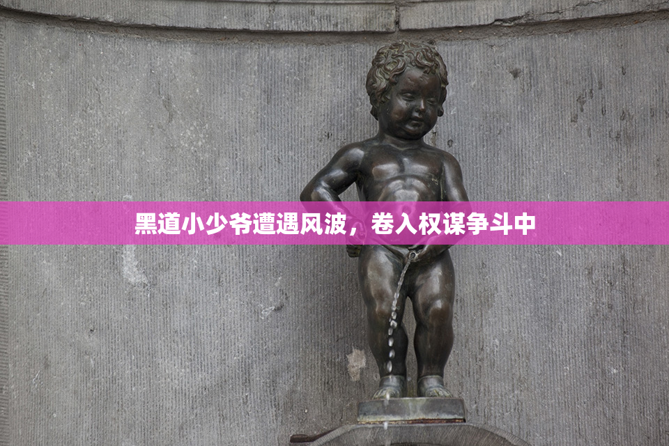 黑道小少爷遭遇风波，卷入权谋争斗中