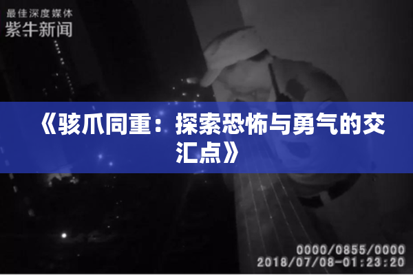 《骇爪同重：探索恐怖与勇气的交汇点》