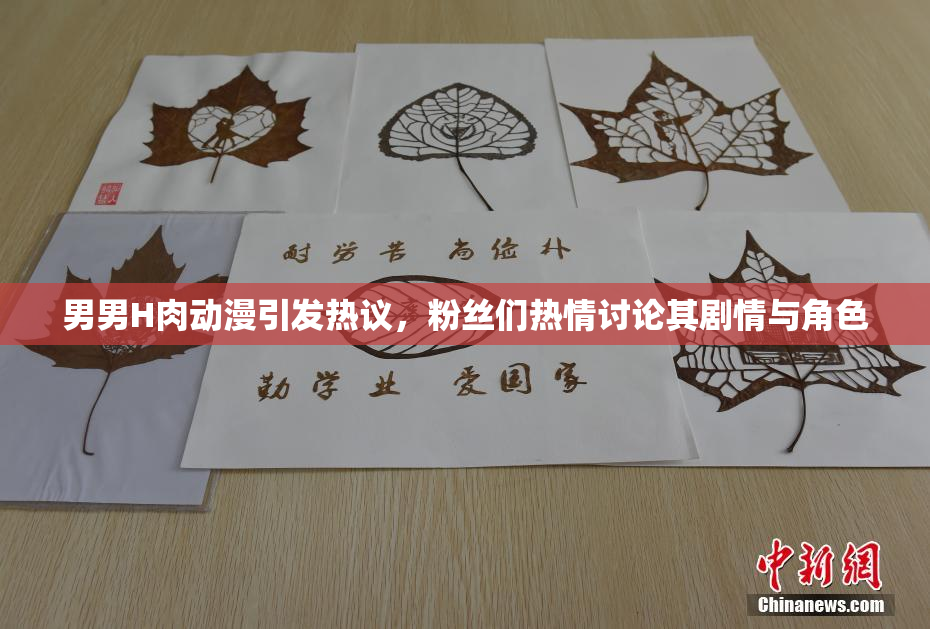 男男H肉动漫引发热议，粉丝们热情讨论其剧情与角色
