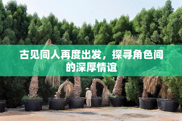 古见同人再度出发，探寻角色间的深厚情谊