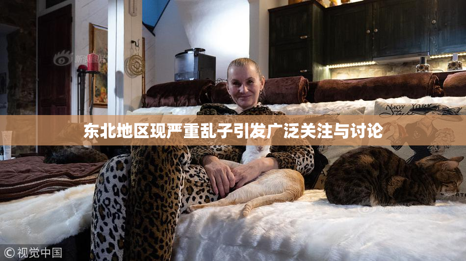 东北地区现严重乱子引发广泛关注与讨论