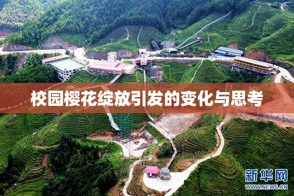 校园樱花绽放引发的变化与思考