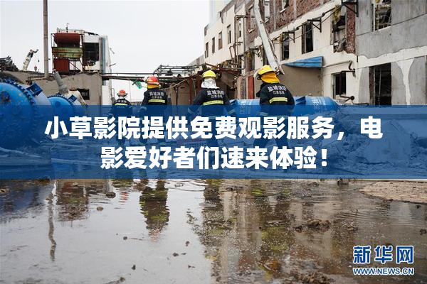 小草影院提供免费观影服务，电影爱好者们速来体验！