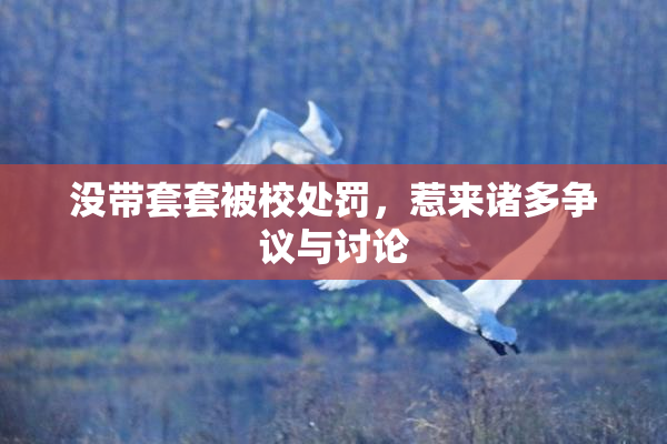 没带套套被校处罚，惹来诸多争议与讨论