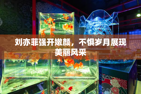 刘亦菲强开嫩颜，不惧岁月展现美丽风采