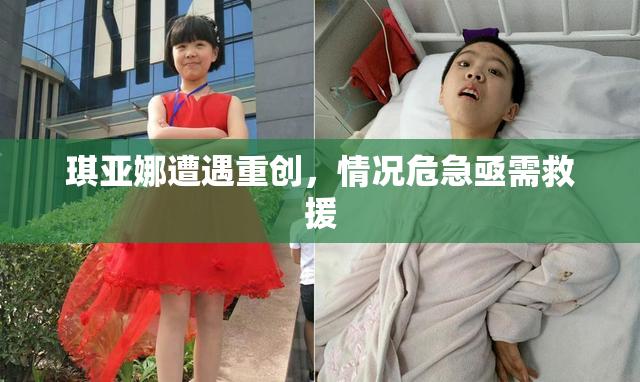 琪亚娜遭遇重创，情况危急亟需救援