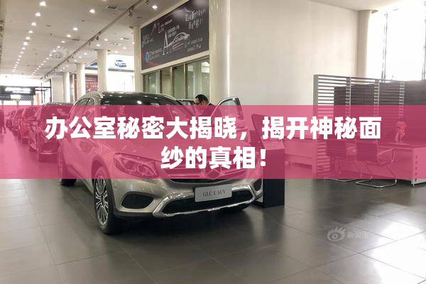 办公室秘密大揭晓，揭开神秘面纱的真相！