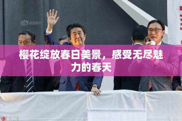 樱花绽放春日美景，感受无尽魅力的春天
