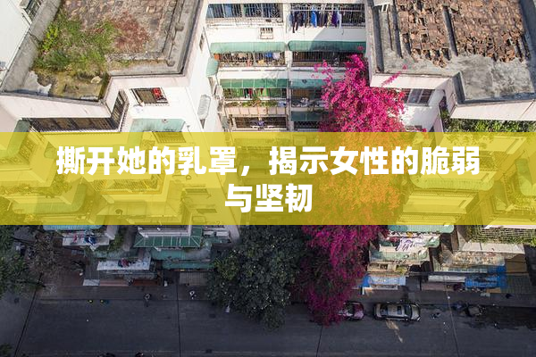 撕开她的乳罩，揭示女性的脆弱与坚韧
